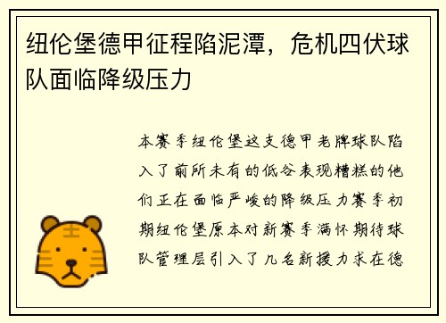 纽伦堡德甲征程陷泥潭，危机四伏球队面临降级压力